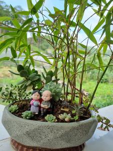 Núi non tươi đẹp