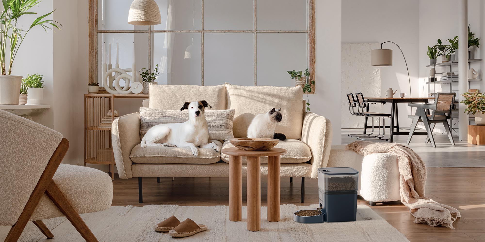 Oneisall WF-63 budget automatic cat feeder with a built-in camera and 6L hopper
