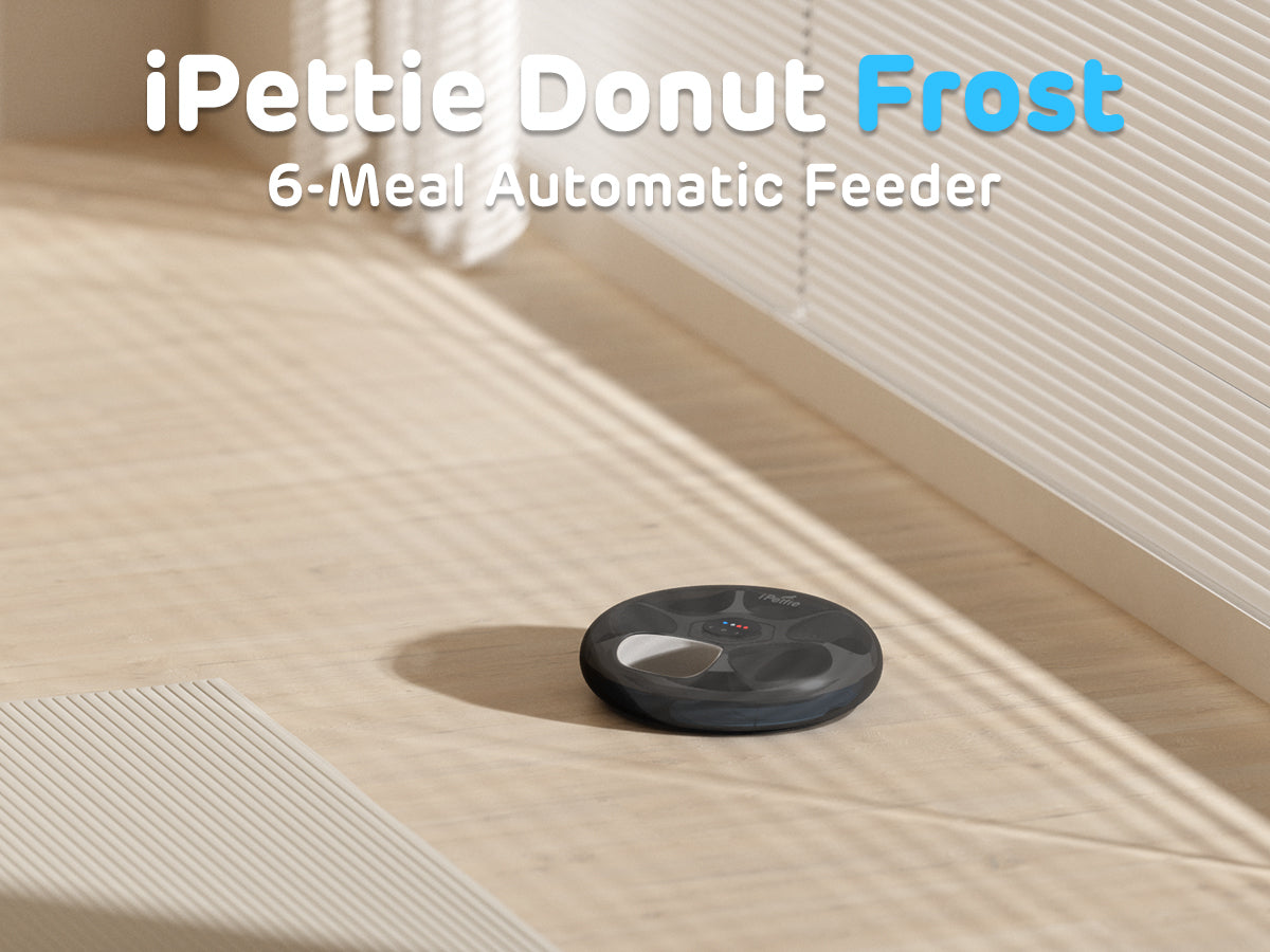 Máy cho ăn mèo thức ăn ẩm tự động không dây 6 bữa ăn iPettie Donut Frost, ảnh sản phẩm chính thức