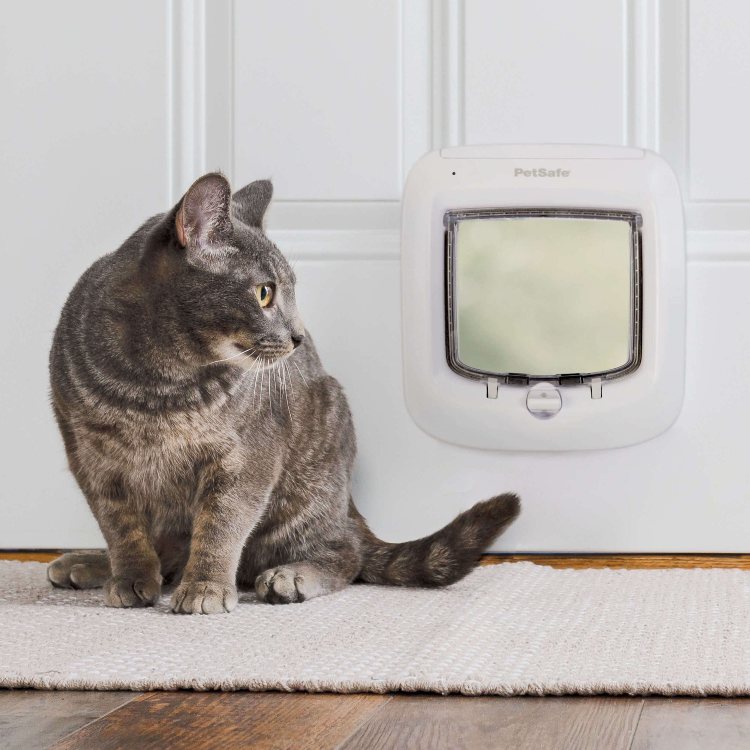 باب قطة ذكي من PetSafe مع قفل يدوي رباعي الاتجاهات