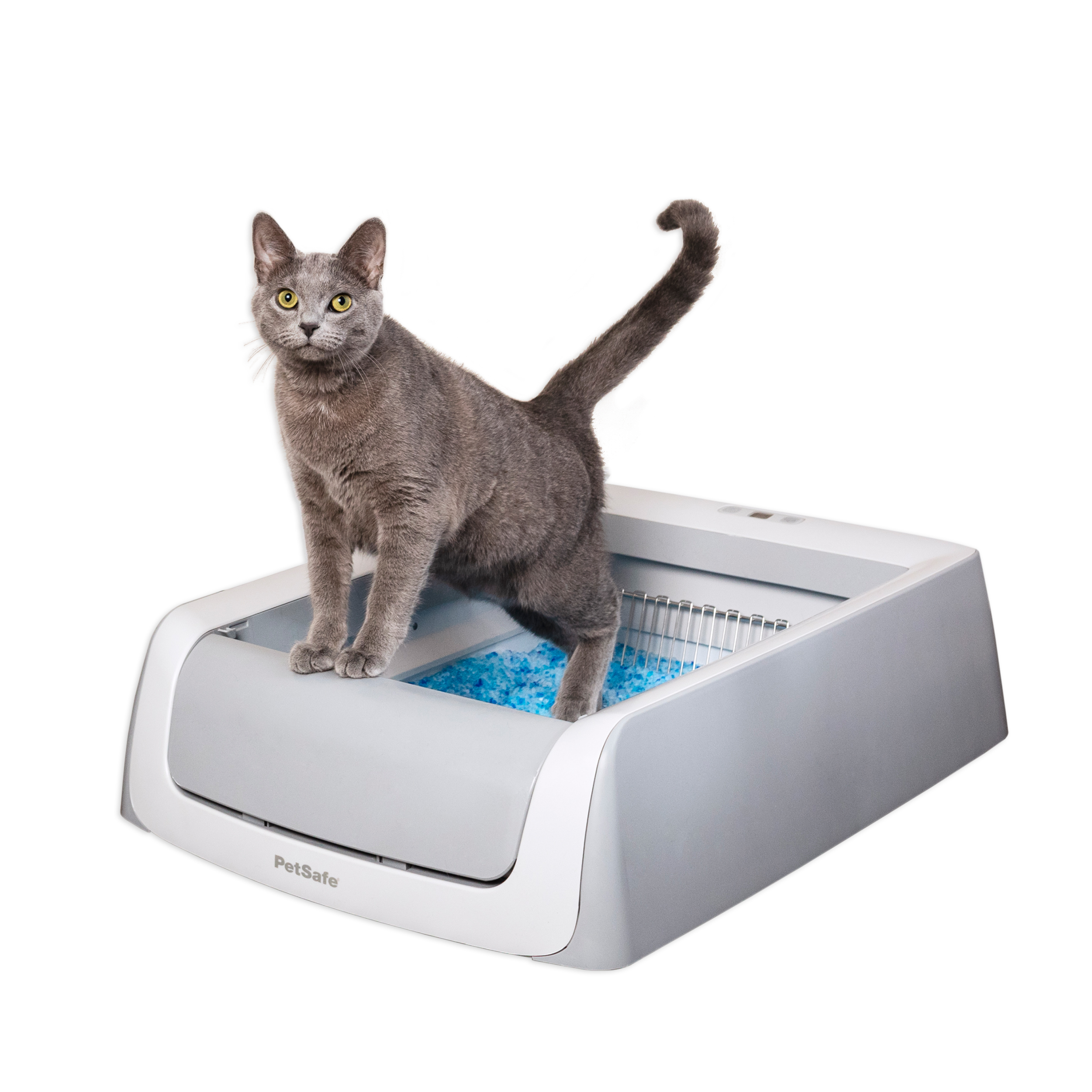 PetSafe ScoopFree Crystal Pro Legacy 자동 모래상자