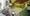z7817407930784_21ad761d16aa5d62c13cba60f375c158.jpg