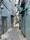 1784187301290_5646131791542542082_g2012213665992064437_03efb93c0028e3ab8462a3f180c44a49.jpg