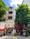 1784262789470_7293196431848937839_g2012213665992064437_16945f733155cf854a529ad6bdecf228.jpg
