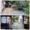 z7009743669988_dc352a62d1cebc3d49baf688bc39979f.jpg