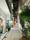 z7470037930238_da5c176350e0d25f8737cd6f6cad4cb6.jpg