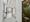 IMG_8052.jpeg