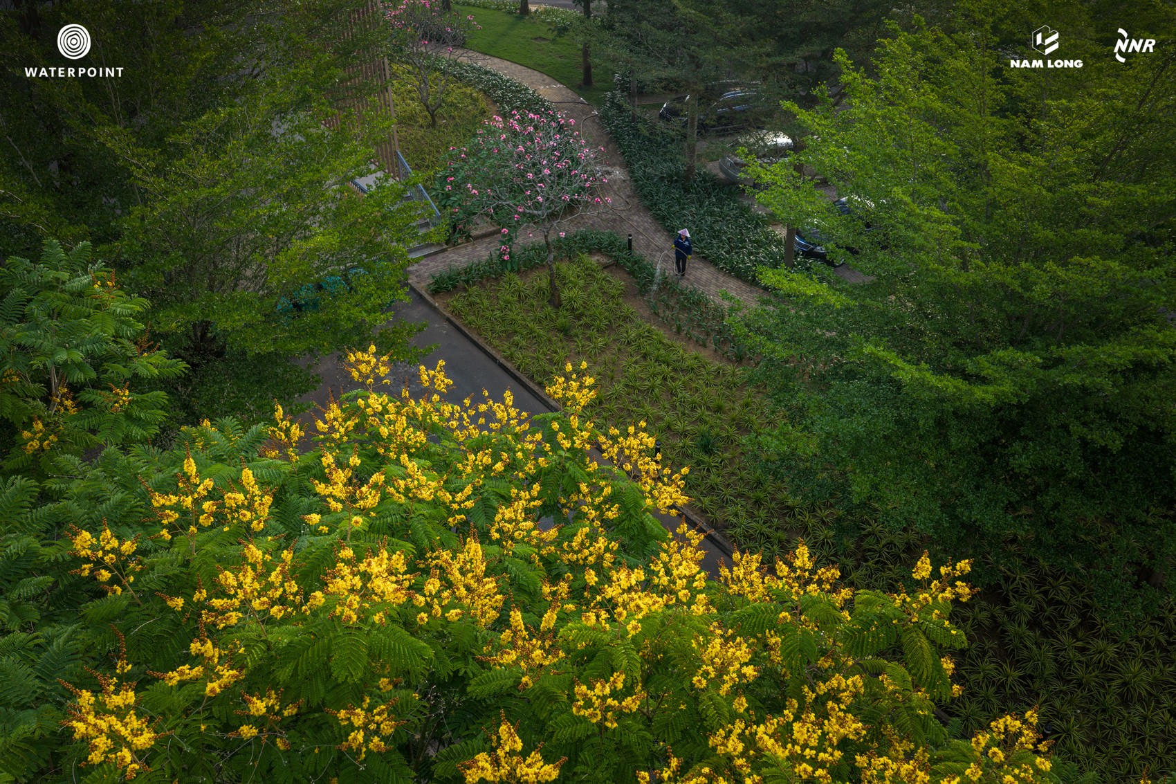 DJI_20260312075826_0061_D_NL.JPG