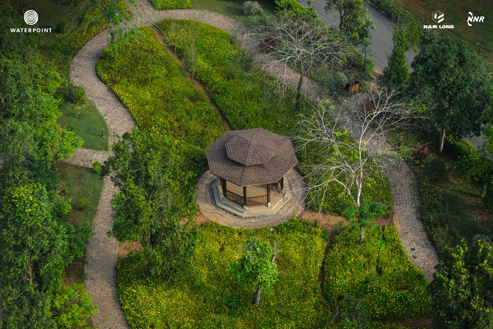 DJI_20260312075046_0048_D_NL.JPG