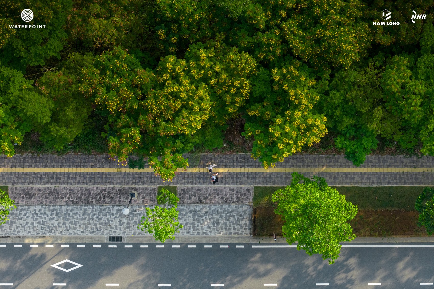 DJI_20260312074507_0039_D_NL.JPG