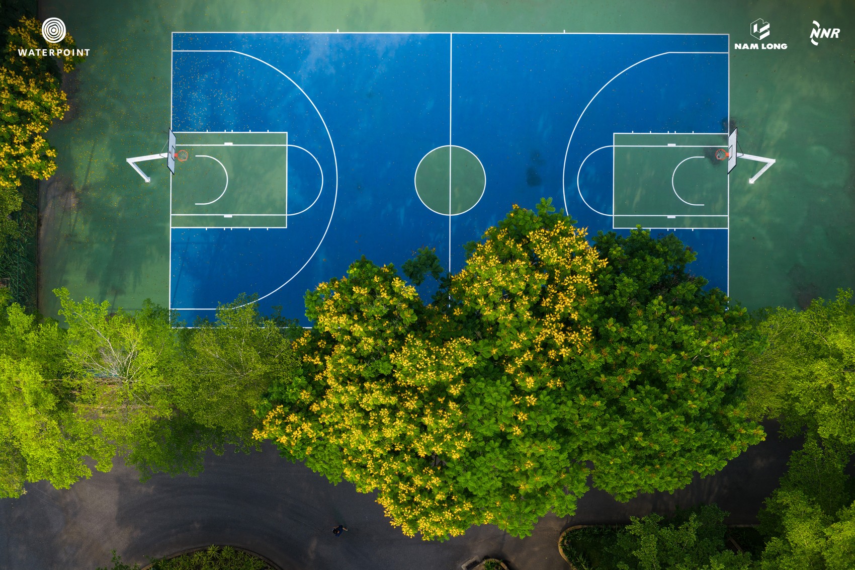 DJI_20260312075537_0053_D_NL.JPG
