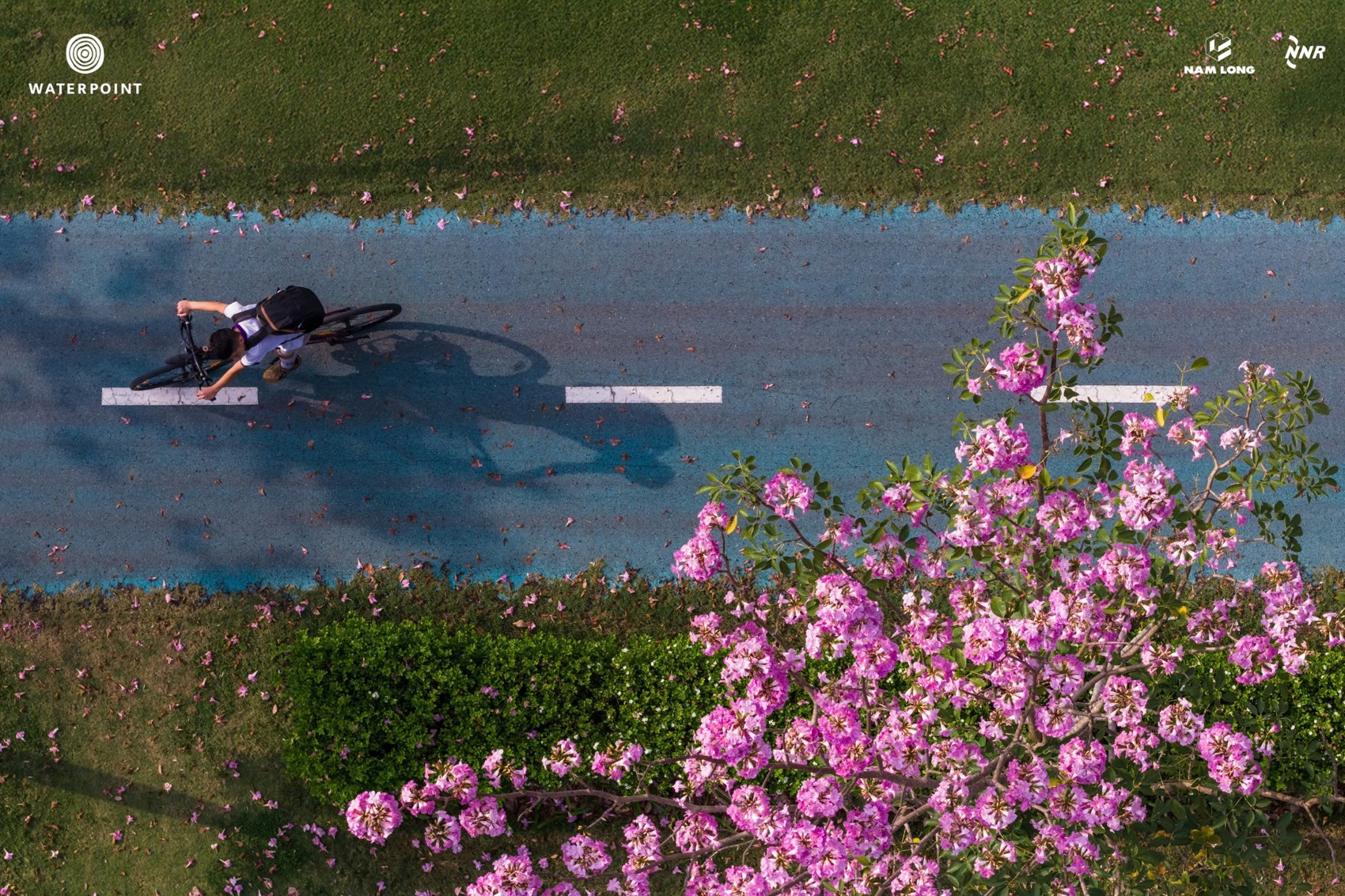 z7613334460404_6da583ae60aca8cb71e18609a9075397.jpg