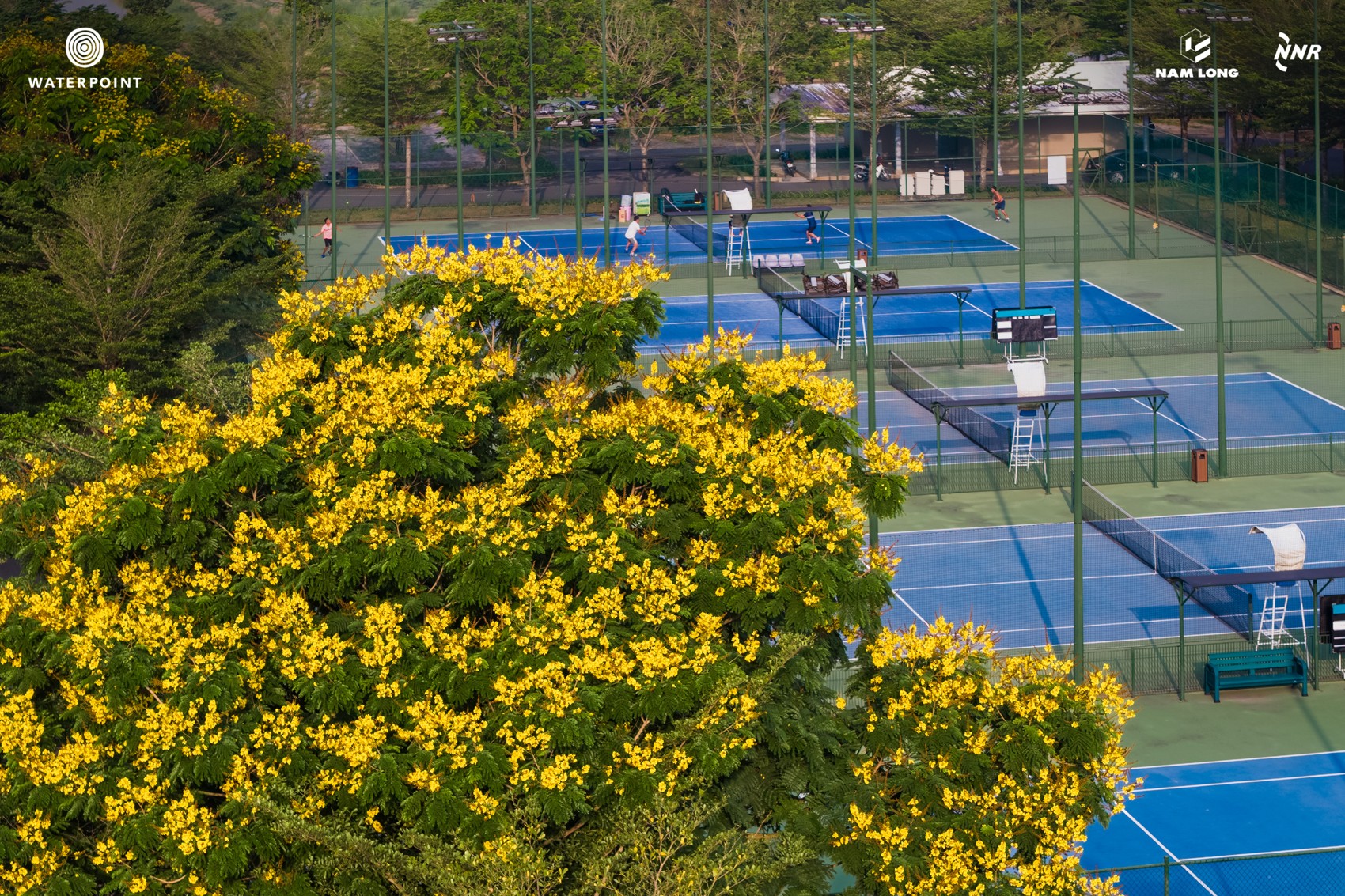 Nam Long Xuan TN_.JPG
