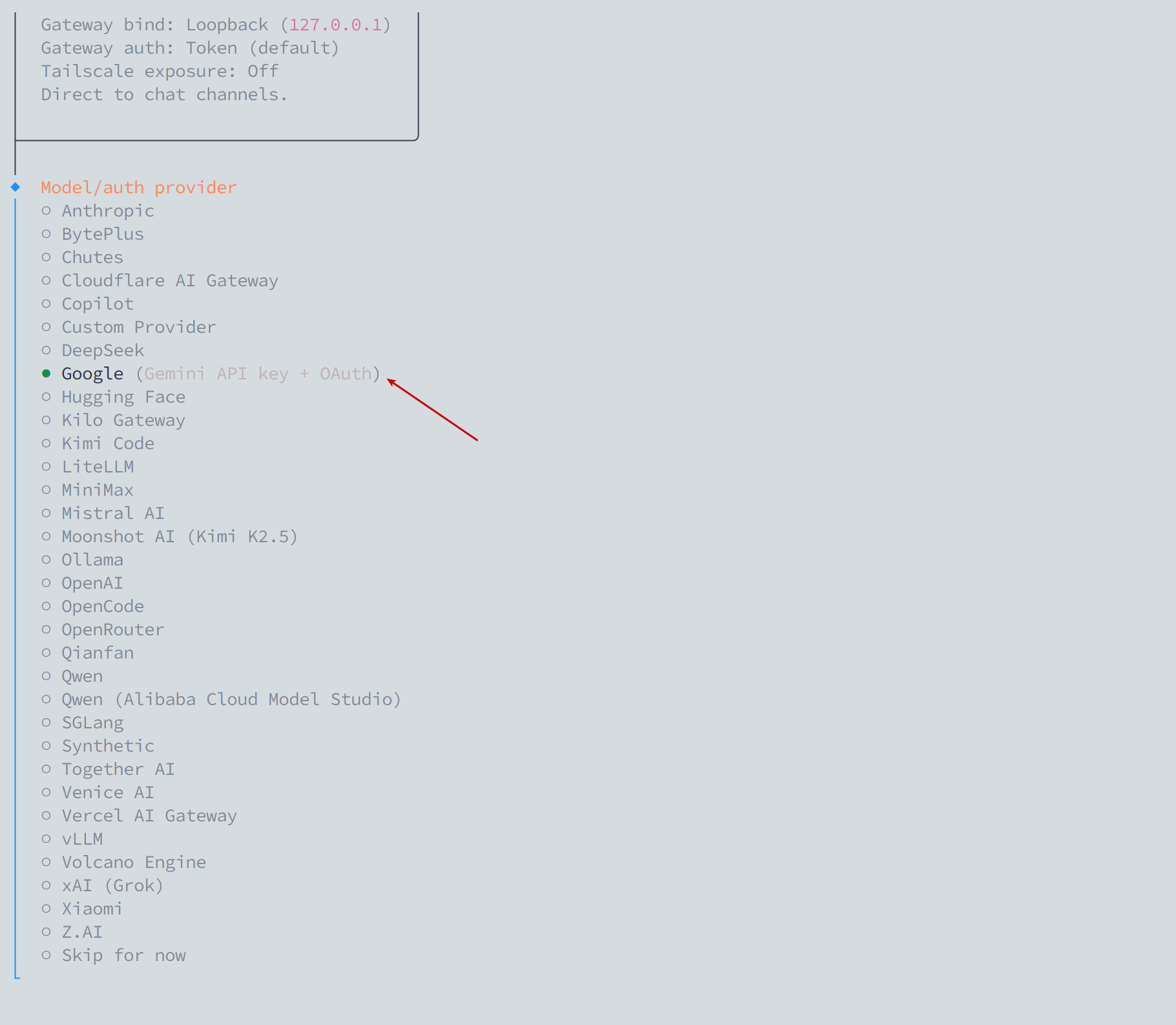 Chọn Google làm AI Provider