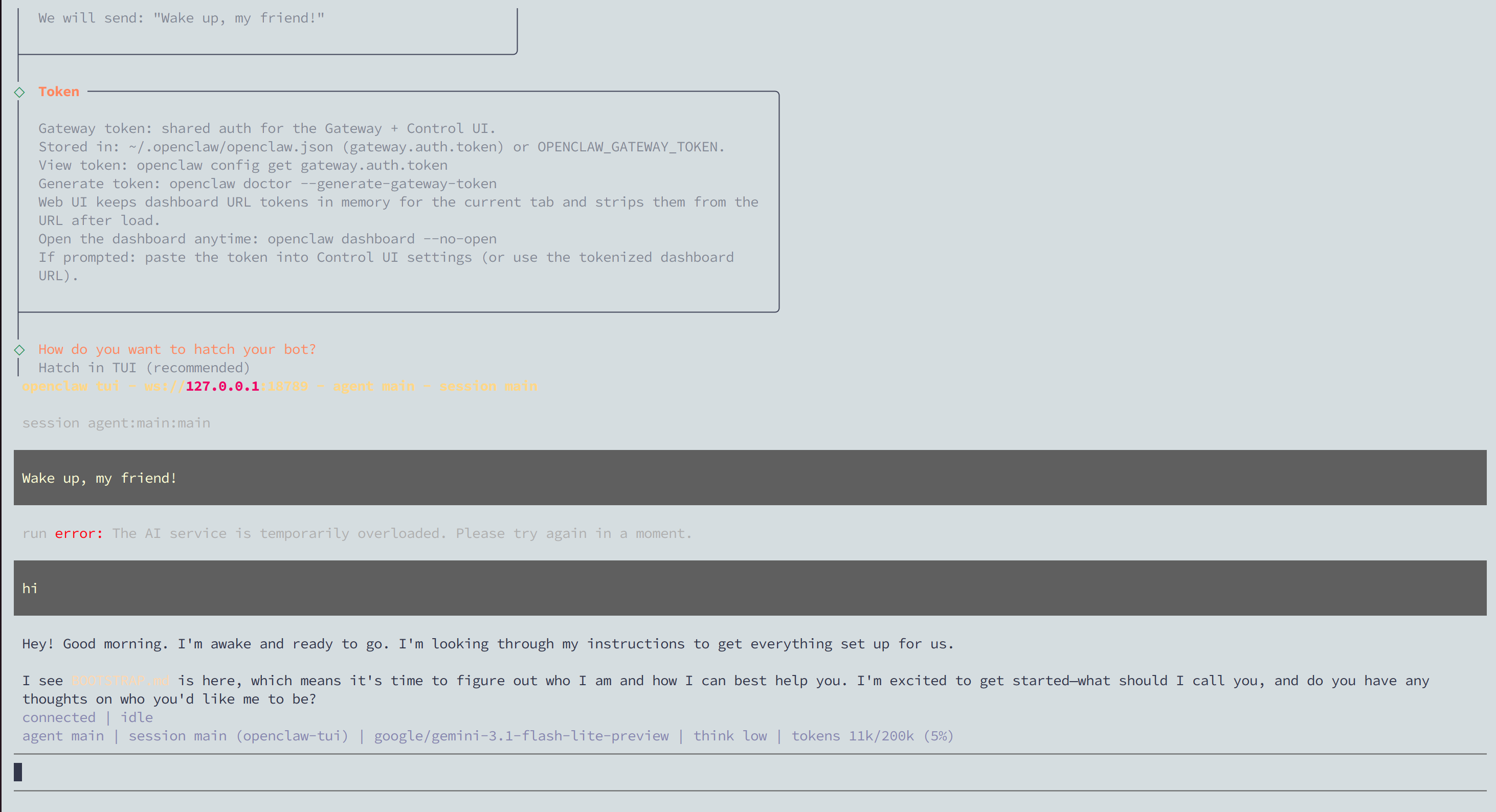 Giao diện TUI — chat thử với bot