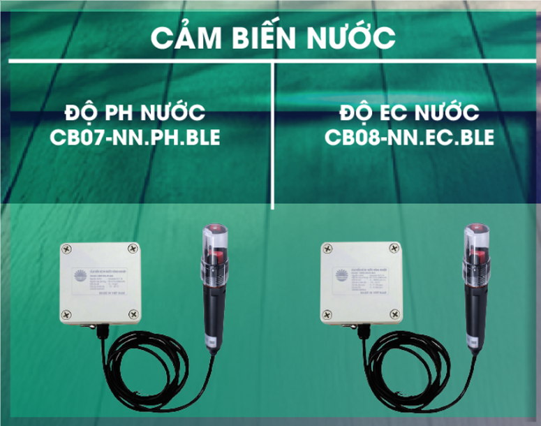 Cảm biến nước thông minh Rạng Đông : "Mắt xích" quyết định sức sống khu vườn thủy canh